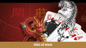 rong-ho-anh-dai-dien